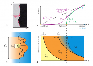 Linking transport and geometry. (a) Snapshot of a domain wall in a two-dimensional ferromagnet. (b) Typical velocity–force characteristics. (c) Crossover lengths l_opt and l_av representing the optimal excitation and the deterministic avalanches, respectively. (d) Geometric crossover diagram.